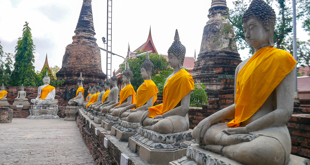 Ayutthaya Lining up Buddha Images