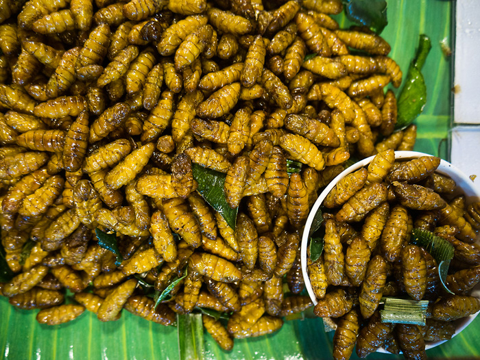 Fried insects | Thai street snacks | Bangkok Food Tours