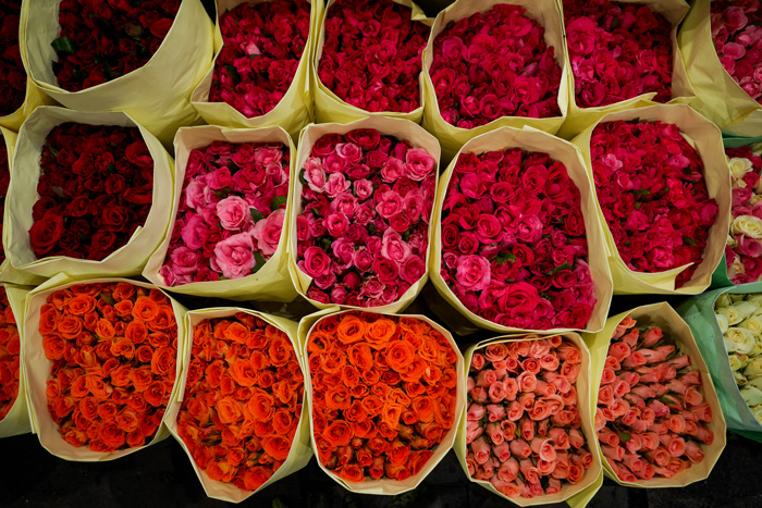 Roses, Pak Khlong Market Flower Market | Things to do in Bangkok at night | Bangkok Food Tours
